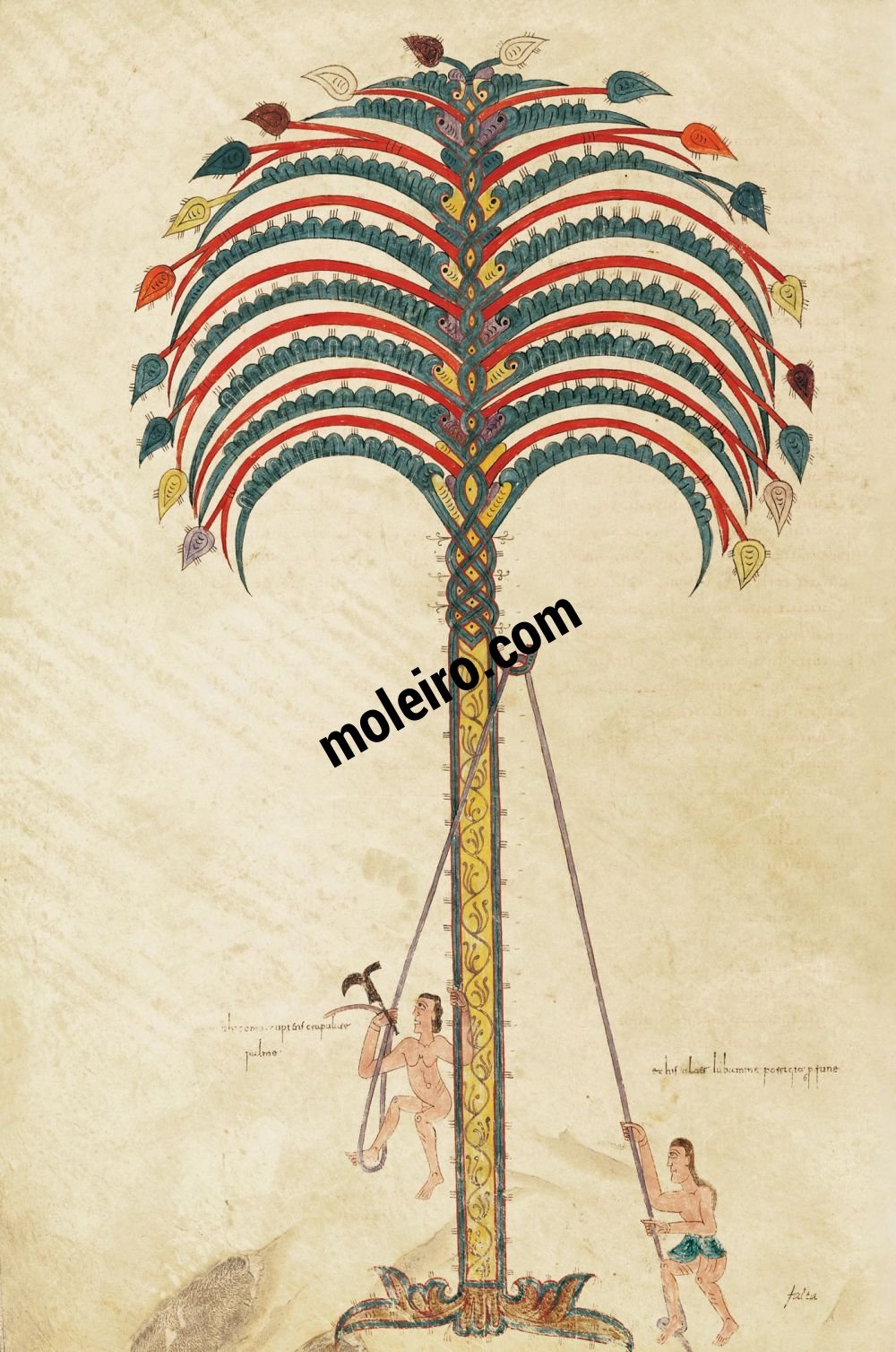 the-metaphor-of-the-palm-tree-romanesque-art-sacred-art-engraving