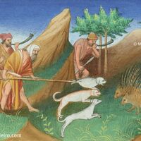 Afghanen jagen Stachelschweine, f. 18r