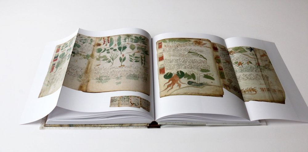 Lámina Desplegable Del Manuscrito Voynich