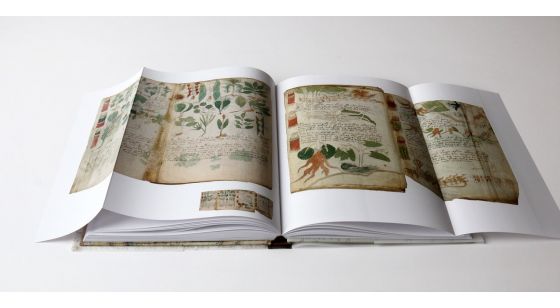 voynich manuscript yale press