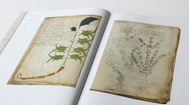 The Voynich Manuscript The truth and nothing but the truth about the Voynich manuscript The Voynich Manuscript The truth and nothing but the truth about the Voynich manuscript