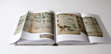 The Voynich Manuscript The truth and nothing but the truth about the Voynich manuscript The Voynich Manuscript The truth and nothing but the truth about the Voynich manuscript